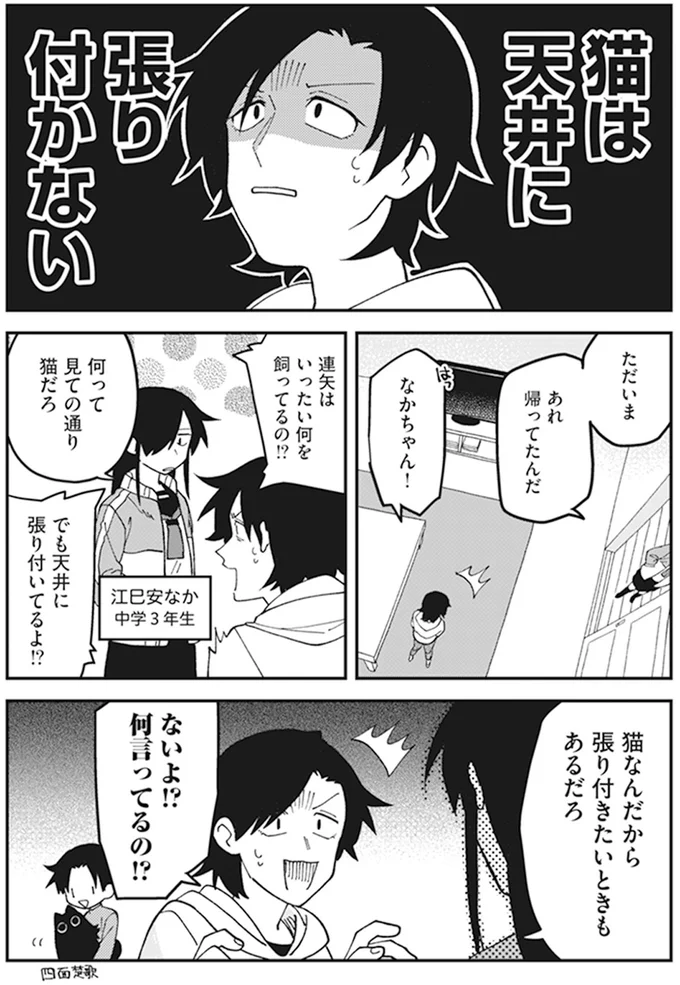 猫は天井に張り付かない