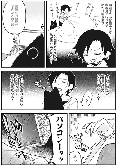 すっっっごい無言の圧力でじっと見てくる…