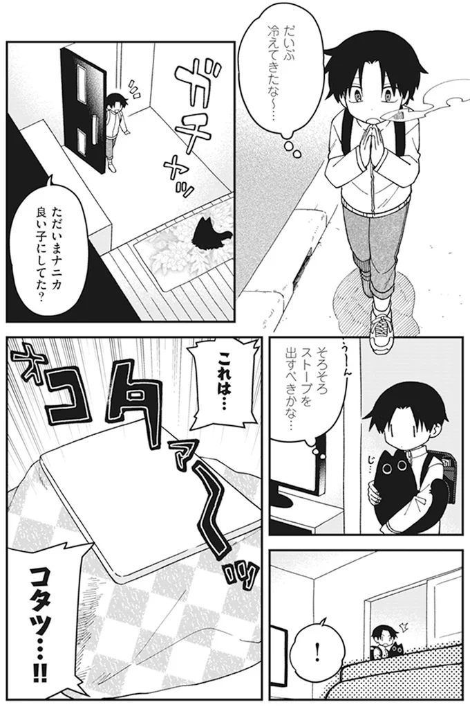 コタツ…！！