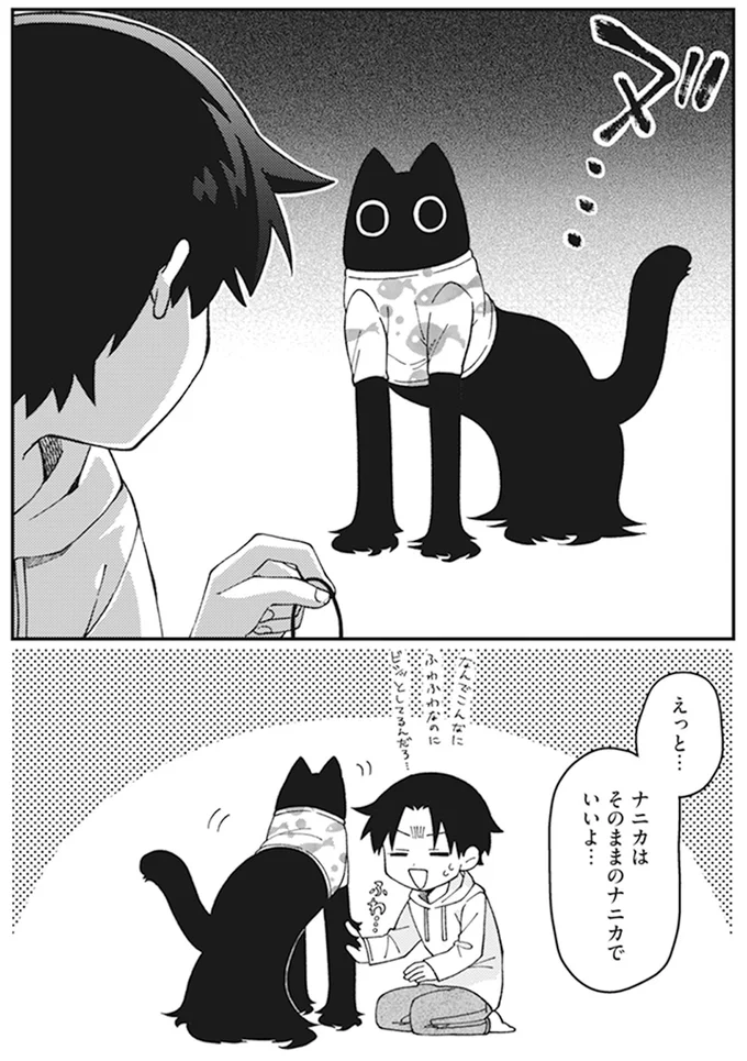 ナニカはそのままのナニカでいいよ…
