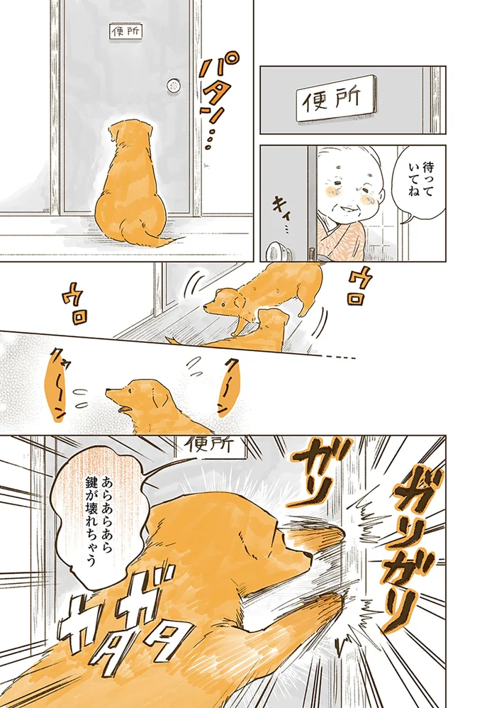 『姫ばあちゃんとナイト 』より