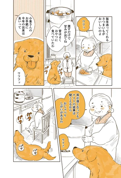 『姫ばあちゃんとナイト 』より
