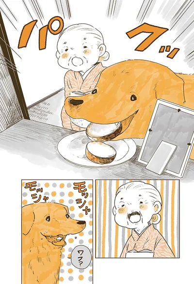 『姫ばあちゃんとナイト 』より