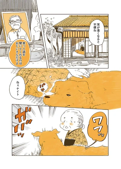 『姫ばあちゃんとナイト 』より