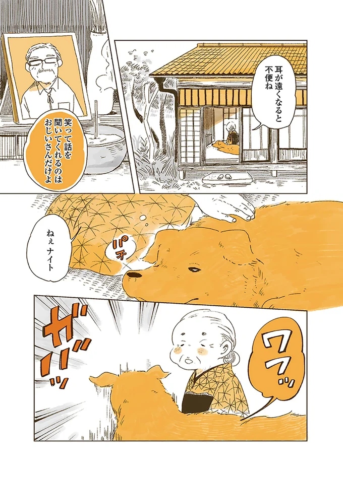 『姫ばあちゃんとナイト 』より