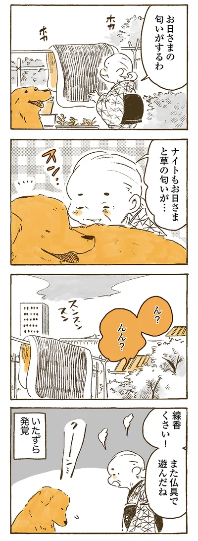 『姫ばあちゃんとナイト 』より