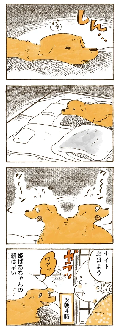 『姫ばあちゃんとナイト 』より