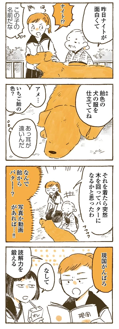 『姫ばあちゃんとナイト 』より