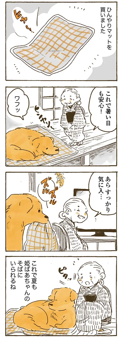 『姫ばあちゃんとナイト 』より