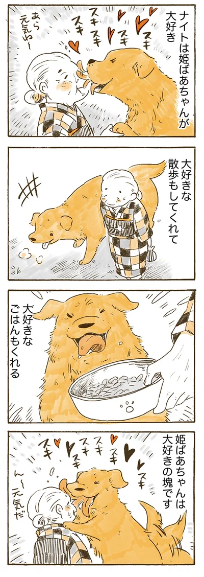 ナイトは姫ばあちゃんが大好き
