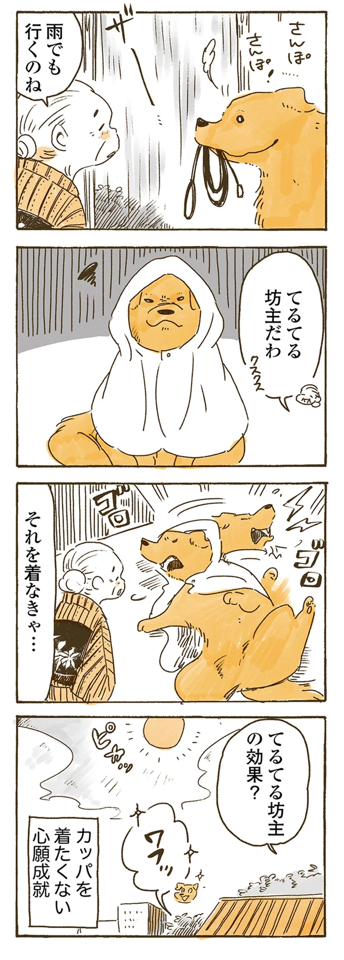 雨でも行くのね