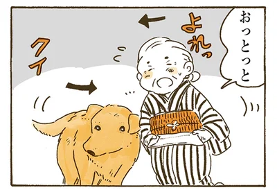家でも外でも。おばあちゃんとレトリバーの「守り守られ」な関係