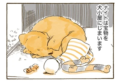 大好きなおばあちゃんも!?犬小屋に宝物を集めるレトリバー