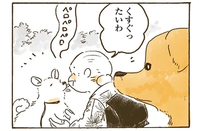 レトリバーは同担拒否ぎみ？お散歩で出会うワンちゃんとの交流