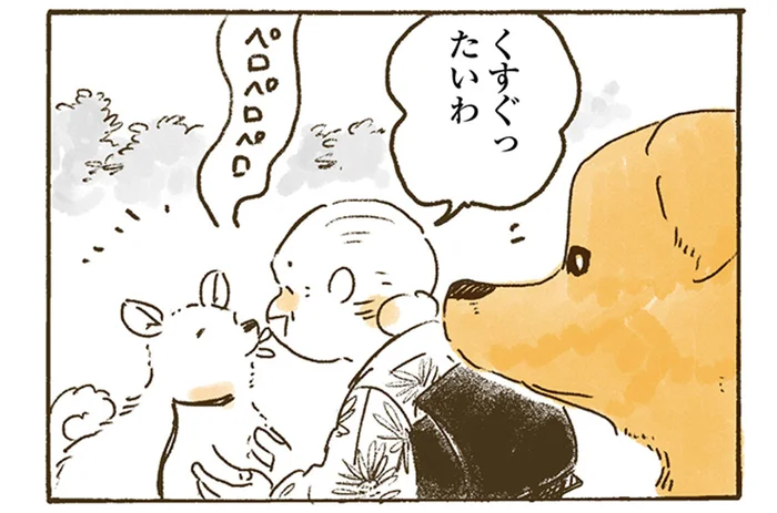 レトリバーは同担拒否ぎみ？お散歩で出会うワンちゃんとの交流／姫ばあちゃんとナイト（6）