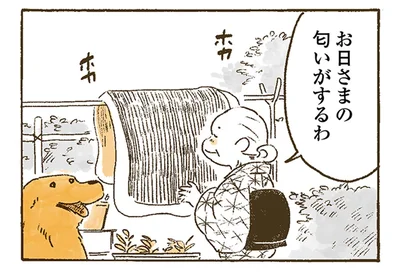 干した布団はお日さまのいい匂い。レトリバーも同じだと思ったら