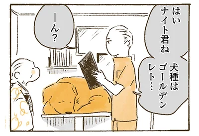 お医者さんが二度見？おばあちゃんが書いたレトリバーの問診票