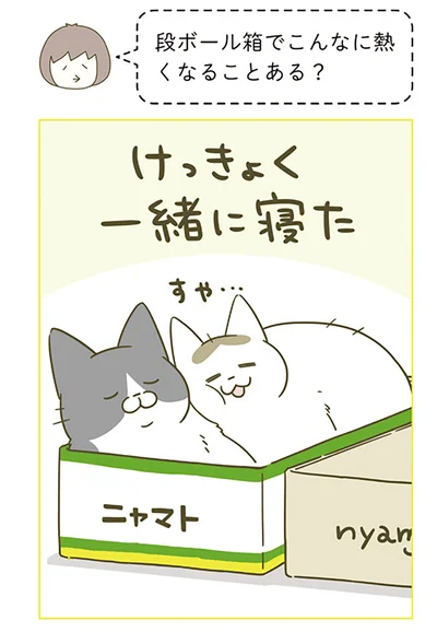 段ボール箱でこんなに熱くなることある？