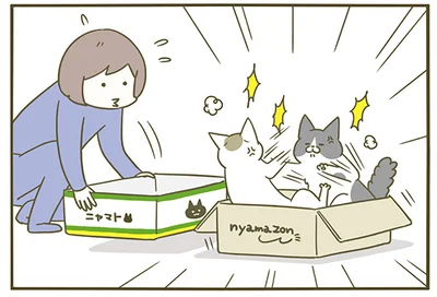 箱を2つ用意しても…