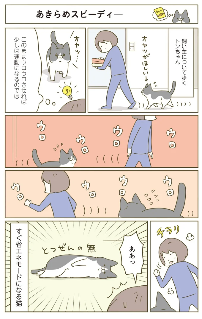 このままウロウロさせれば少しは運動になるのでは