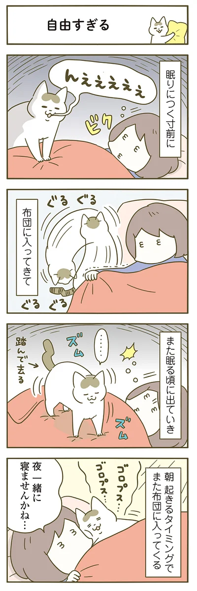 夜一緒に寝ませんかね…