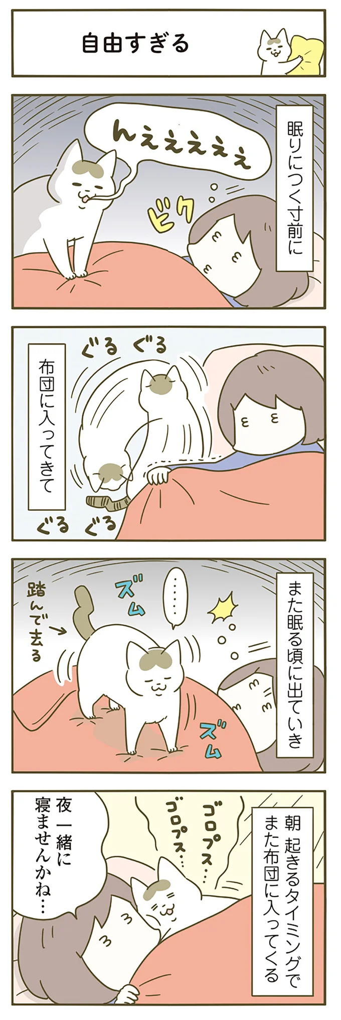 夜一緒に寝ませんかね…