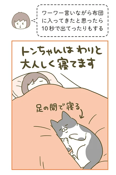 足の間で寝る