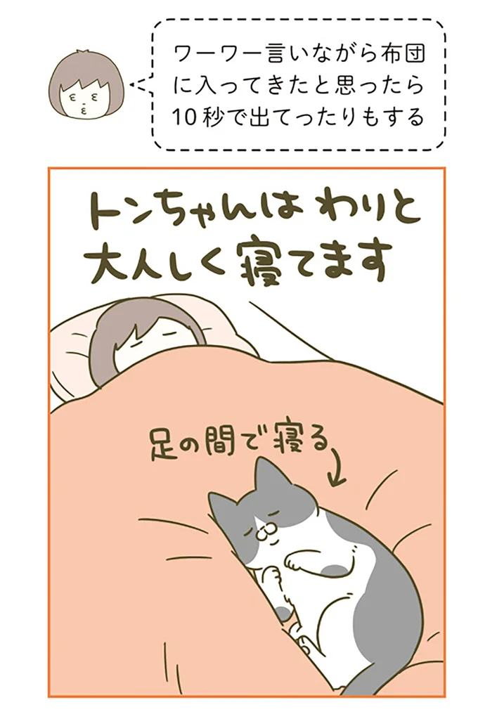 足の間で寝る