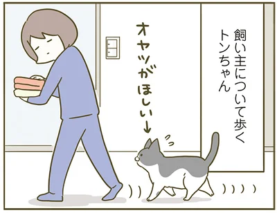 オヤツがほしいトンちゃん