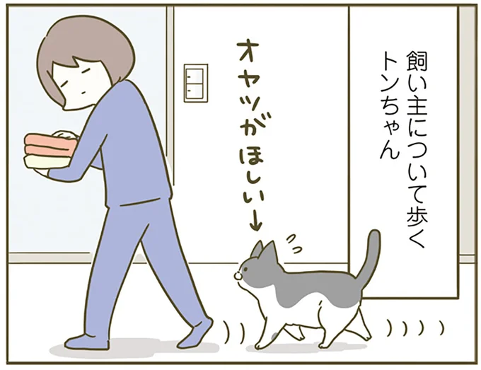 オヤツがほしいトンちゃん