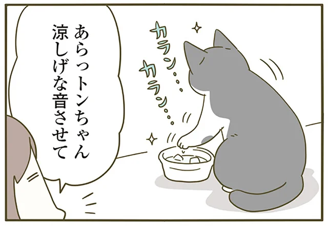 飼い主の気遣いが余計なお世話だった？ 猫の水に氷を入れたら丁寧に取り除かれました／うちの猫がまた変なことしてる。5（4）