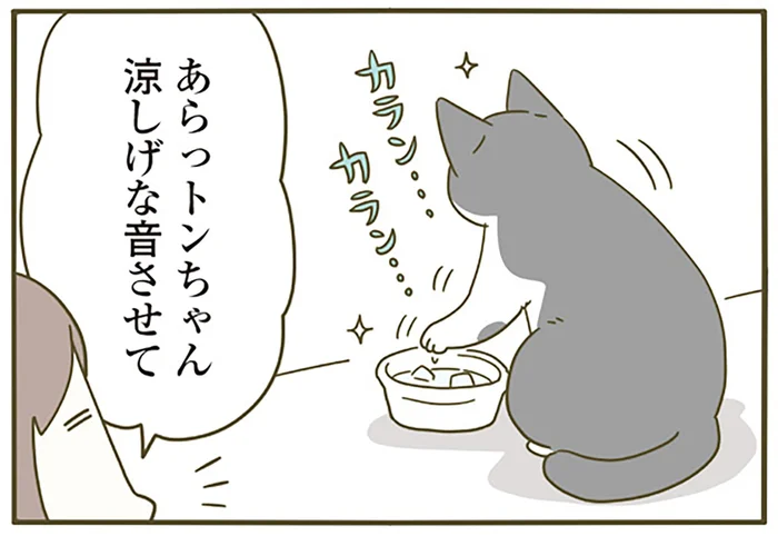 飼い主の気遣いが余計なお世話だった？ 猫の水に氷を入れたら丁寧に取り除かれました／うちの猫がまた変なことしてる。5（4）