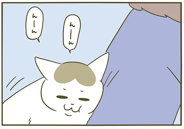 離れていた3日分をチャージしてる!? 帰宅後にくっつき虫と化した猫が愛おしすぎる／うちの猫がまた変なことしてる。5（5）