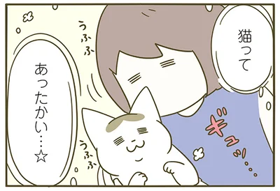 猫ってあったかい…
