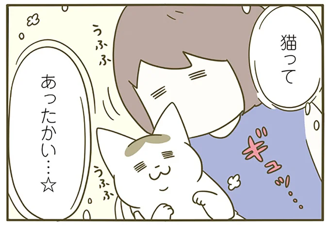 猫ってあったかい…