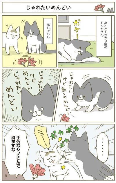 じゃれたいけど動くのめんどい…
