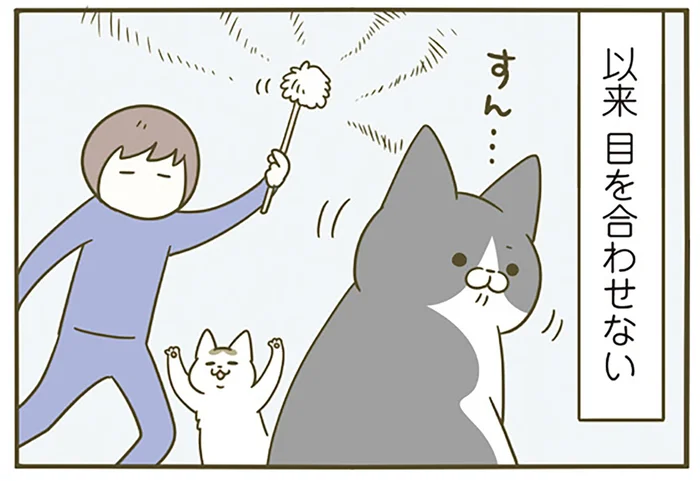 賢いがゆえの弊害？ 新しいおもちゃにトラウマを抱いた猫が、以降全く目を合わせません／うちの猫がまた変なことしてる。5（7）