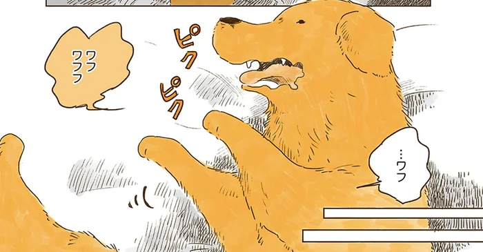 「僕の言葉は聞こえてる？」夢の中でヒトの言葉が話せるようになったレトリバー／姫ばあちゃんとナイト（12）