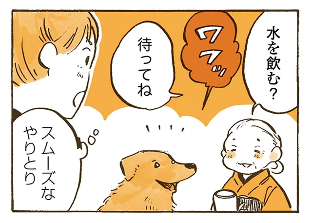 目と目で会話するおばあちゃんとレトリバー。女子高生が真似してみたら／姫ばあちゃんとナイト（15）