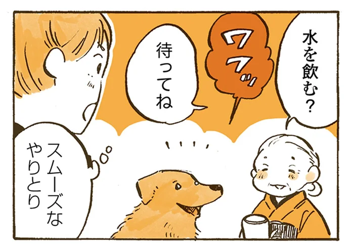 目と目で会話するおばあちゃんとレトリバー。女子高生が真似してみたら／姫ばあちゃんとナイト（15）