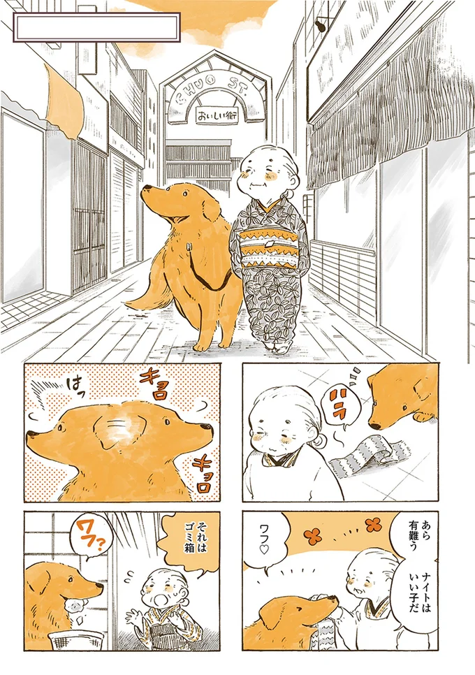 ナイトはいい子だ