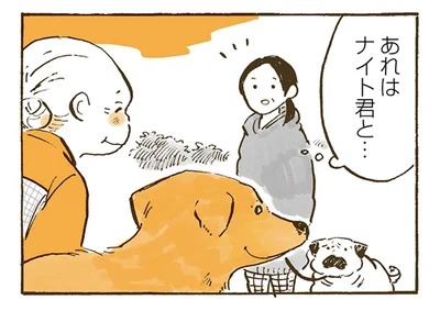 ママ？バーバ？とっさに迷った、レトリバーをつれたおばあちゃんへの声掛け