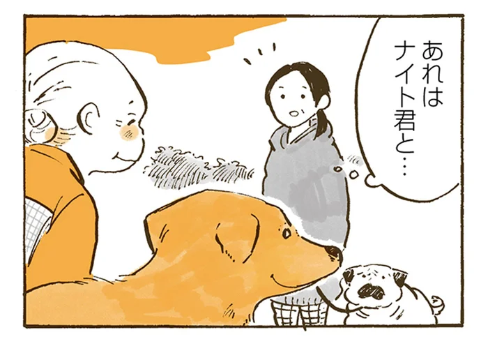 ママ？バーバ？とっさに迷った、レトリバーをつれたおばあちゃんへの声掛け／姫ばあちゃんとナイト（16）
