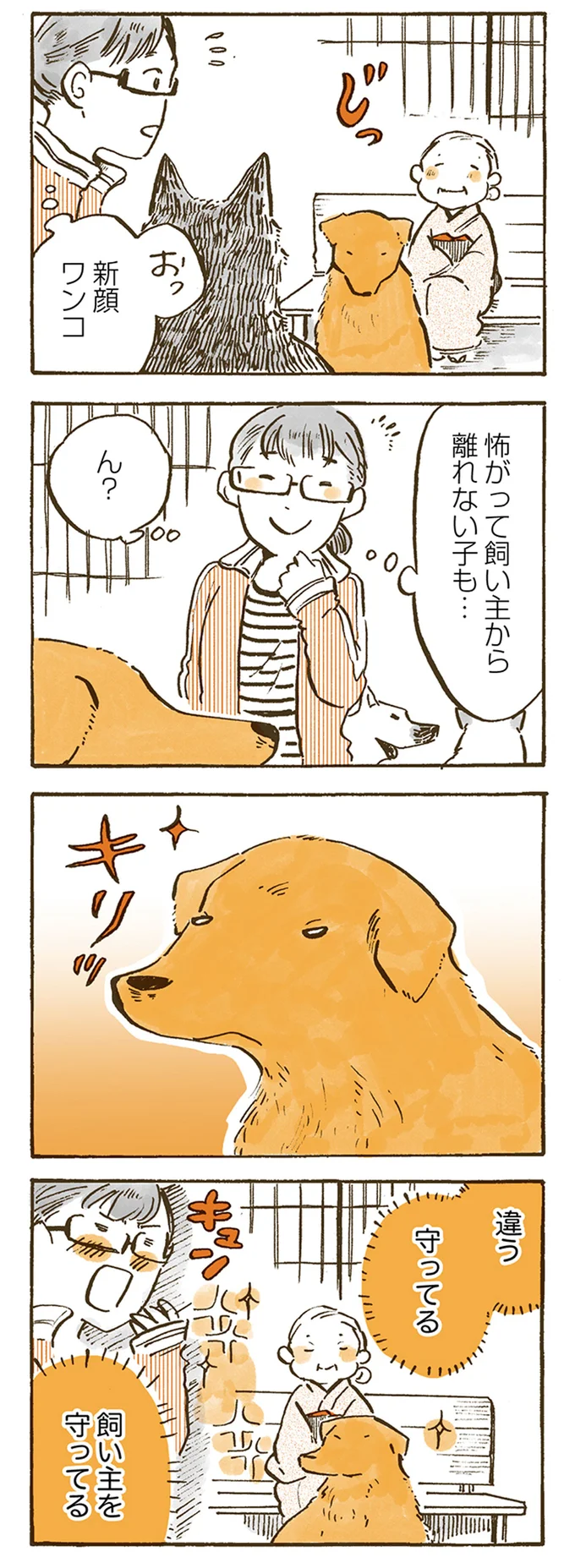 違う、守ってる