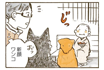初ドッグランは怖かった？おばあちゃんから離れないレトリバーの真実