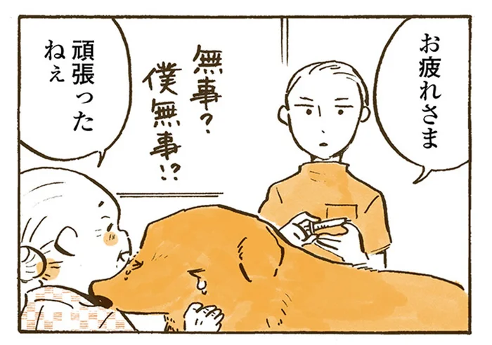 密室でふたりきり。怯えるレトリバーにお医者さんが笑顔を向けたわけ／姫ばあちゃんとナイト（18）