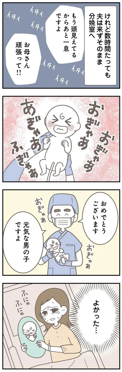 『信じた夫は嘘だらけ-浮気・ワンオペ・DV…地獄の結婚生活を終わらせます』より