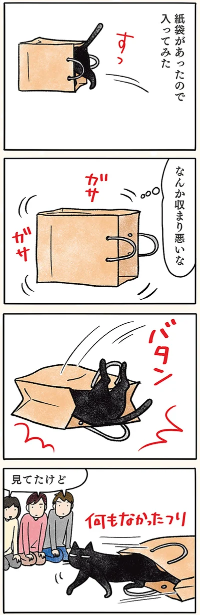 誰も見ていないハズ