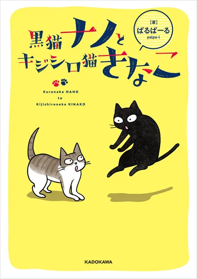 ちょっとどんくさいナノと、おてんばきなこの日常にほっこり『黒猫ナノとキジシロ猫きなこ』