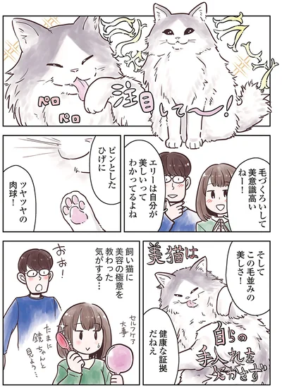 飼い猫に美容の極意を教わった気がする…